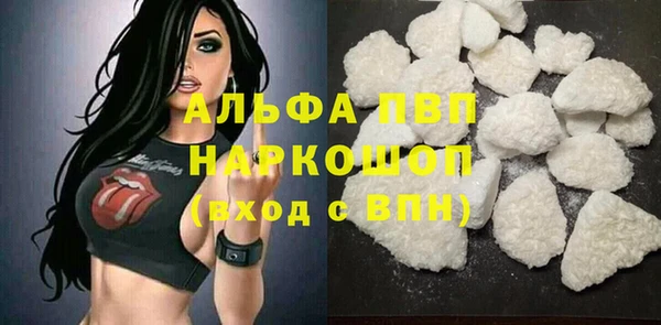 стаф Белокуриха